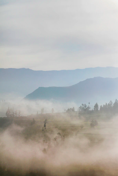 스크린샷 2020-01-02 오후 4.49.13