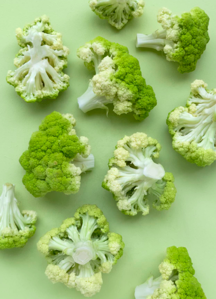 스크린샷 2020-01-06 오후 2.59.13