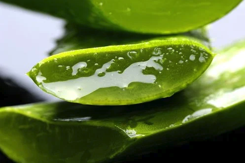 스크린샷 2020-01-08 오후 12.31.03