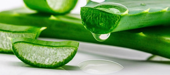 스크린샷 2020-01-08 오후 12.32.36