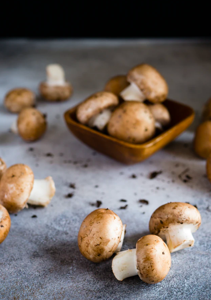 스크린샷 2020-01-20 오후 2.13.11