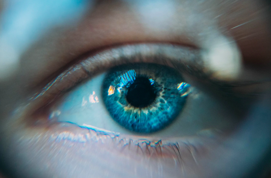 스크린샷 2020-01-21 오후 2.01.45