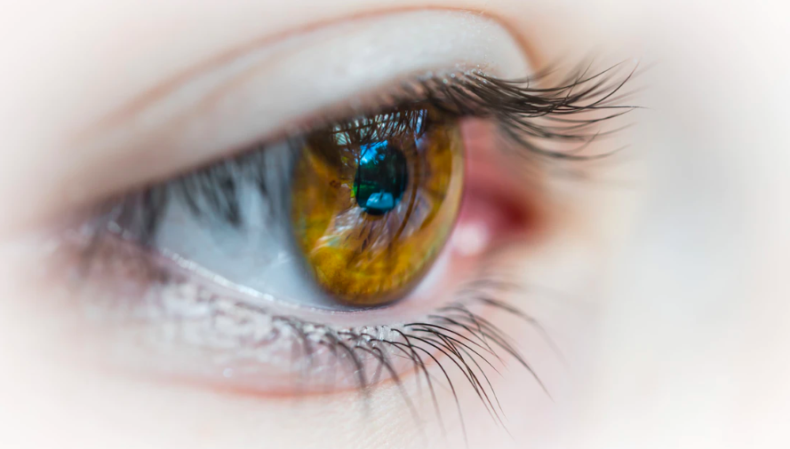 스크린샷 2020-01-21 오후 2.02.04