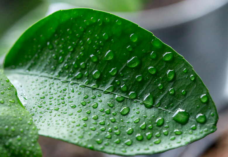 스크린샷 2020-01-28 오후 2.39.20