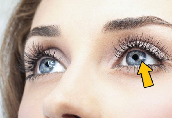 스크린샷 2020-01-31 오후 3.40.43