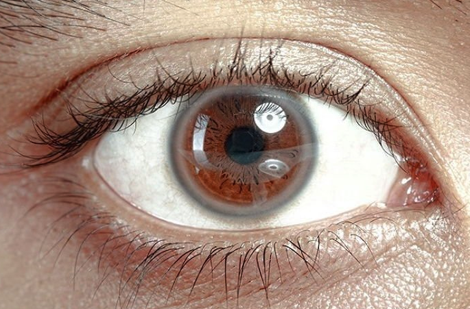 스크린샷 2020-01-31 오후 3.41.02