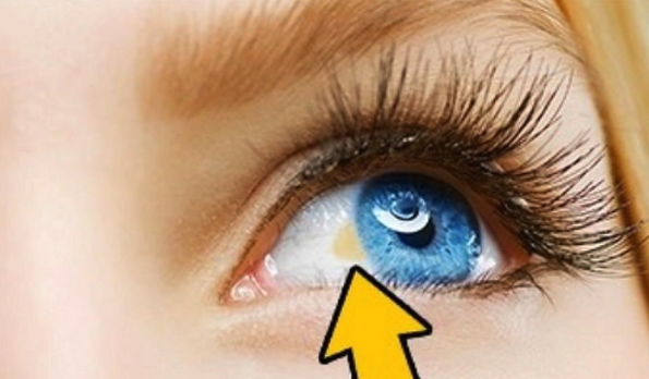 스크린샷 2020-01-31 오후 3.41.21