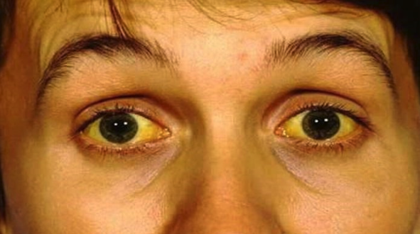 스크린샷 2020-01-31 오후 3.41.33