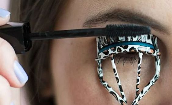 690f061e67e9d019f3b540c3777f9102