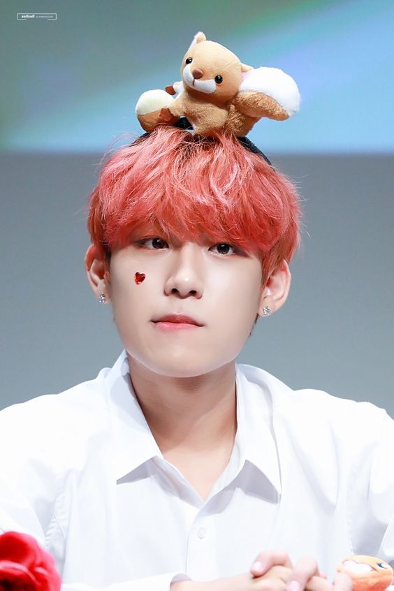 81f1c928db83655b466da89057262259