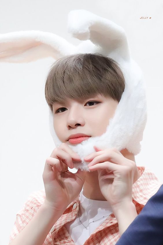 dfa888d3be09aa03f3435a2493675804