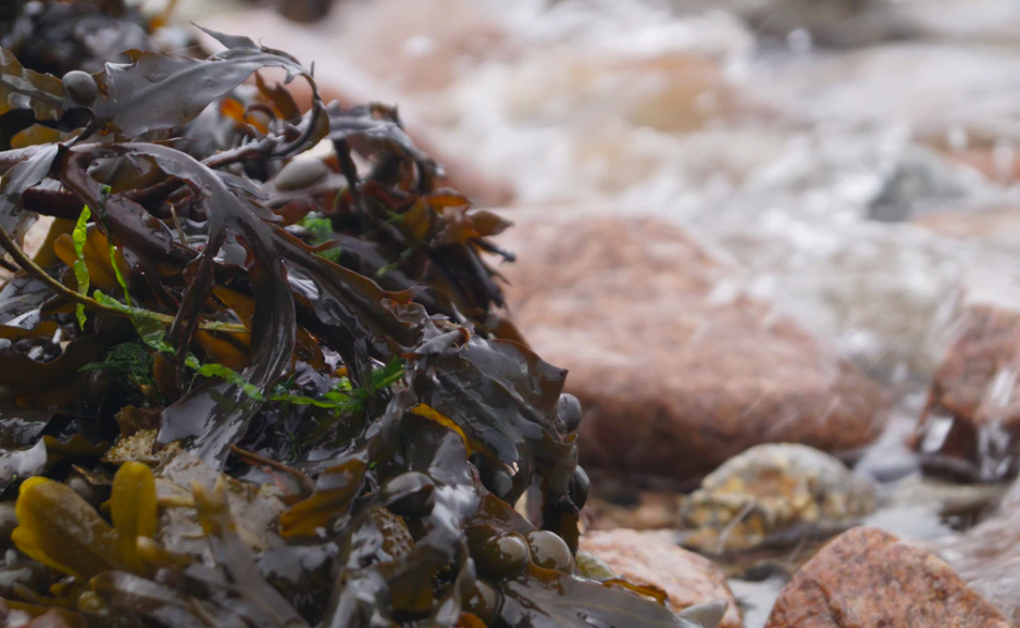 스크린샷 2020-02-05 오후 2.51.48