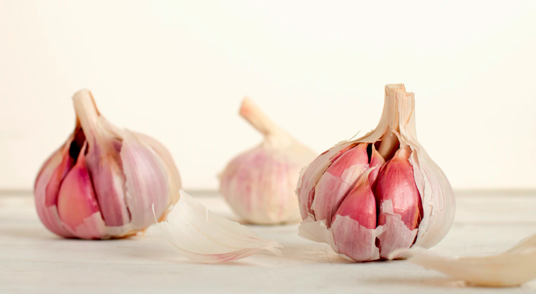 스크린샷 2020-02-05 오후 2.52.33