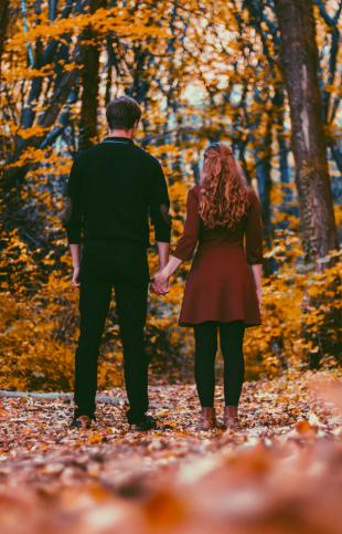 스크린샷 2020-02-18 오후 3.41.33