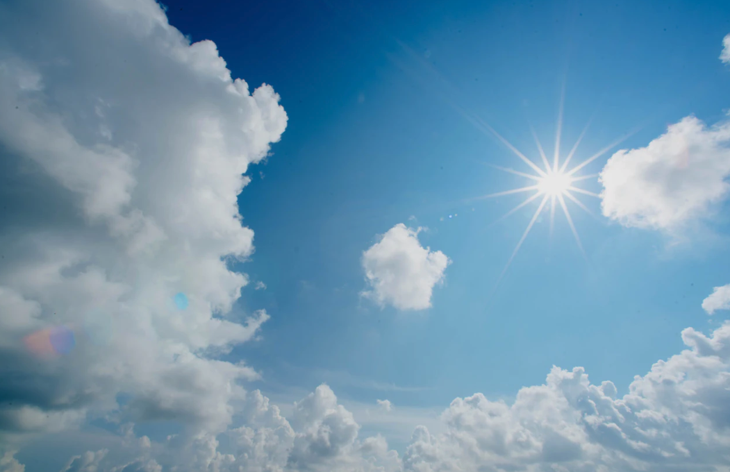 스크린샷 2020-02-20 오후 12.55.19