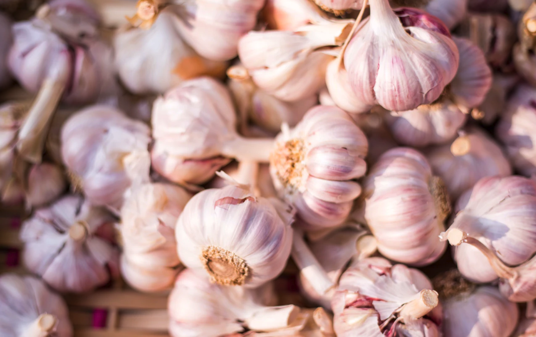 스크린샷 2020-02-21 오후 1.11.46