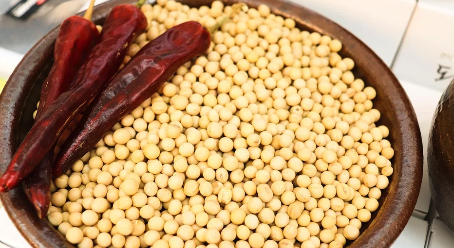 스크린샷 2020-02-21 오후 1.12.47