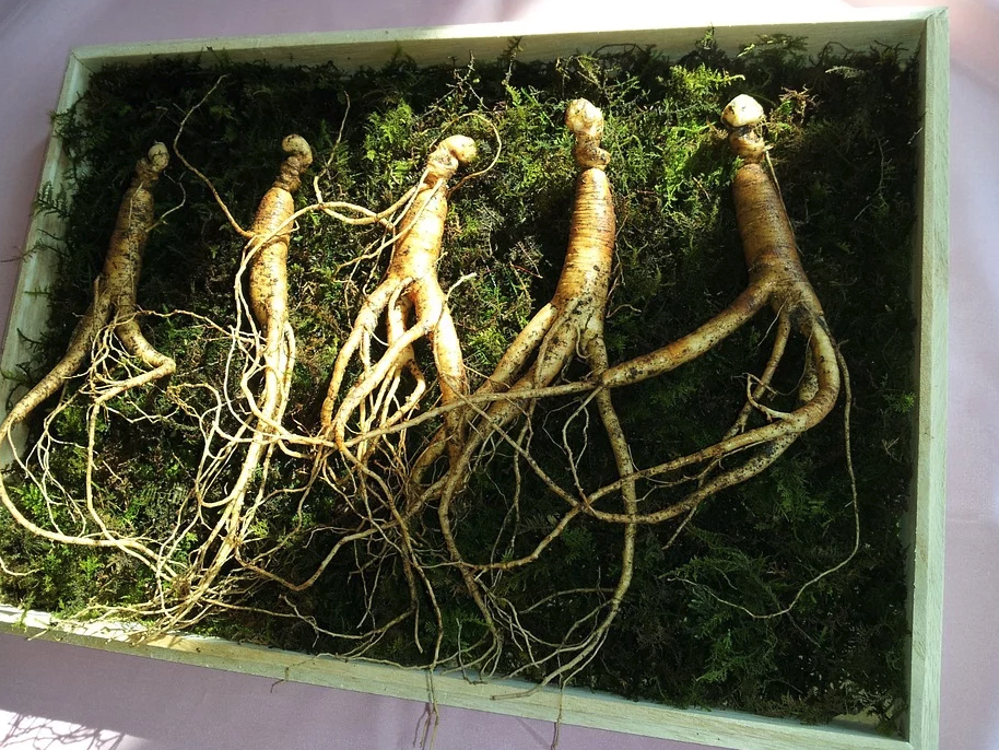 스크린샷 2020-02-21 오후 1.14.46