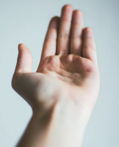 스크린샷 2020-02-25 오후 1.58.09