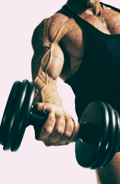 스크린샷 2020-02-26 오후 3.26.25