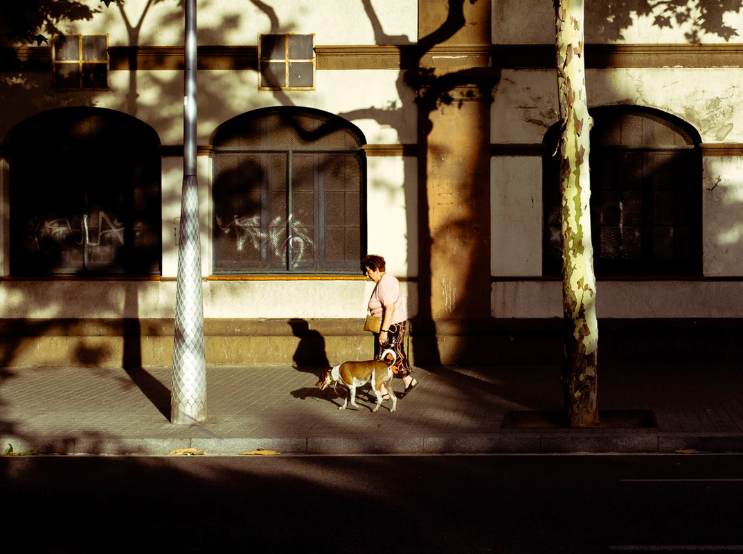 스크린샷 2020-03-02 오후 1.04.10