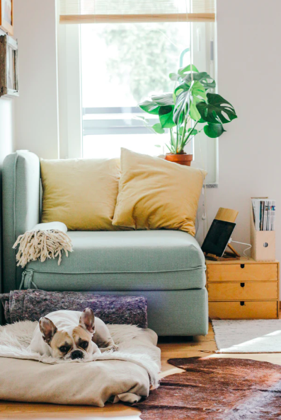 스크린샷 2020-03-04 오후 12.31.24