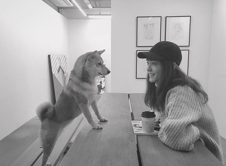 스크린샷 2020-03-06 오전 11.35.45