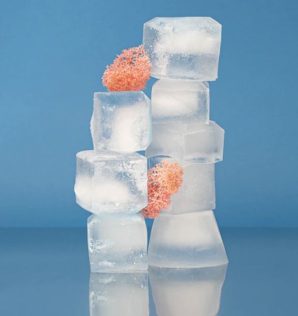 스크린샷 2020-03-16 오후 12.41.30