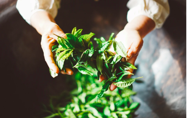 스크린샷 2020-03-26 오후 3.06.11