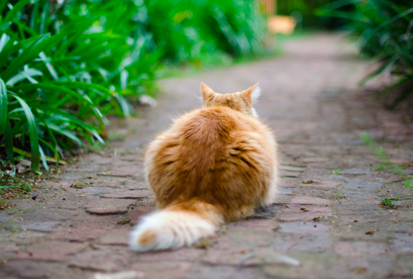 스크린샷 2020-03-27 오전 11.10.36