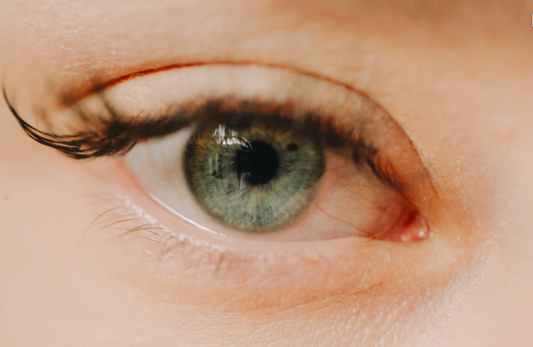 스크린샷 2020-04-01 오후 2.38.33