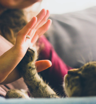 스크린샷 2020-04-06 오후 2.48.44