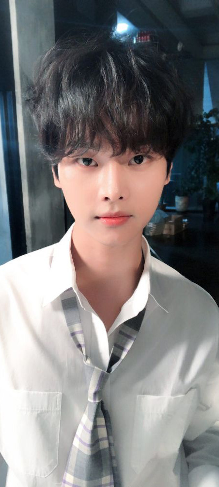 8a99c300c859eb35a8929d7fd9b1c521