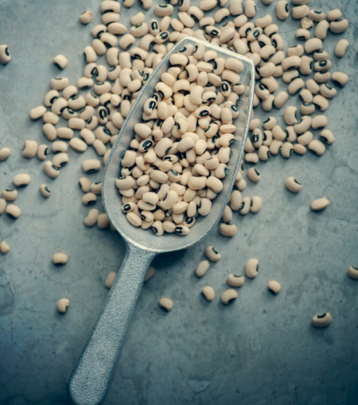 스크린샷 2020-05-18 오후 12.14.00