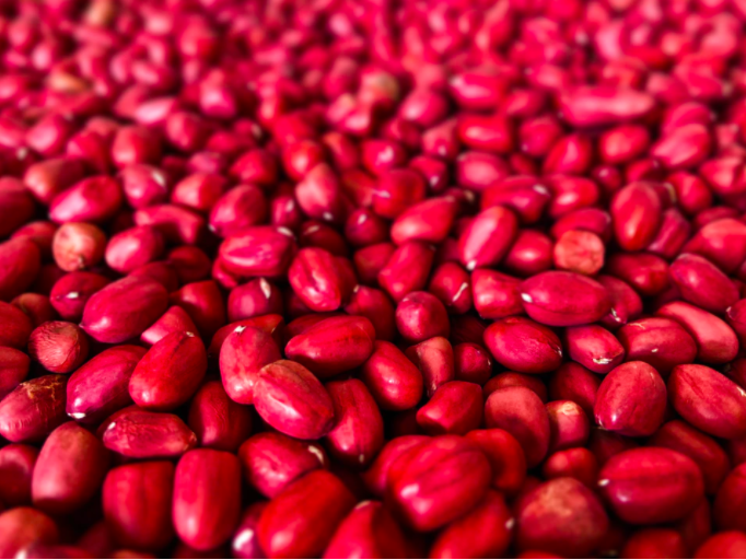 스크린샷 2020-05-28 오전 11.14.12