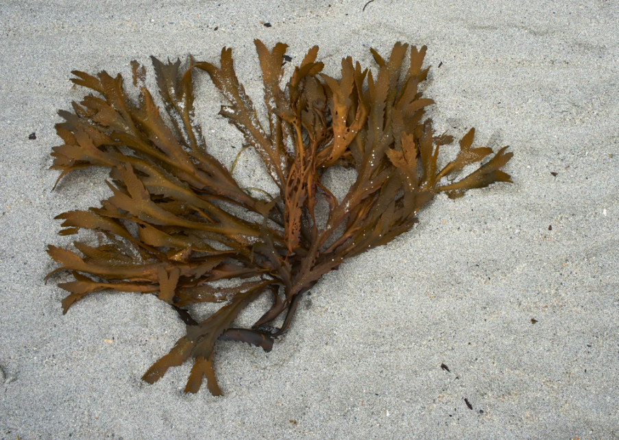 스크린샷 2020-05-28 오후 4.24.43