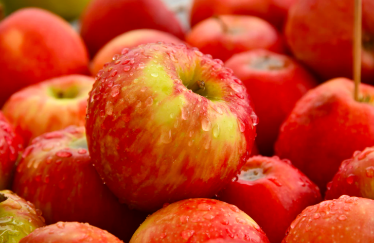 스크린샷 2020-07-04 오후 9.27.50