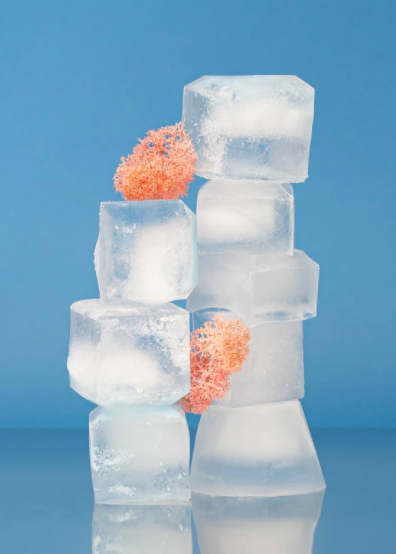 스크린샷 2020-07-05 오전 11.49.26