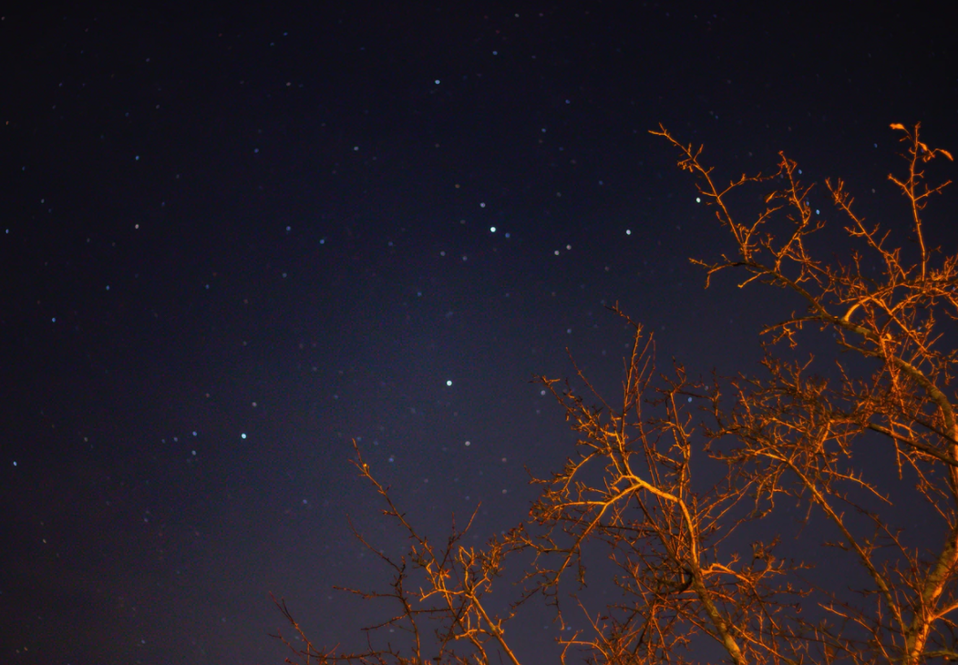 스크린샷 2020-07-25 오후 8.00.04