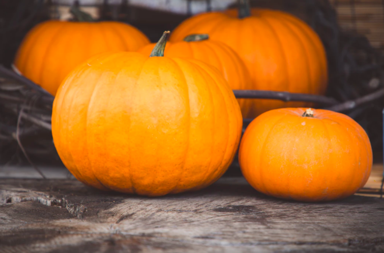 스크린샷 2020-08-16 오전 10.14.06