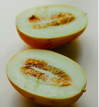 스크린샷 2020-08-18 오후 10.41.24