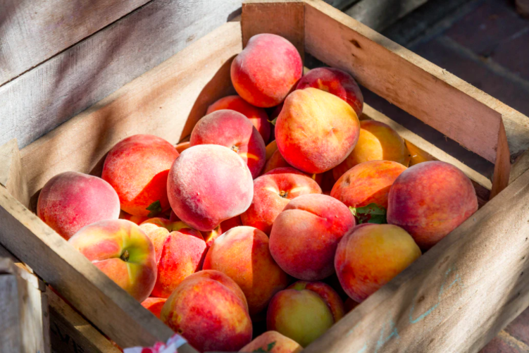 스크린샷 2020-08-18 오후 10.41.40