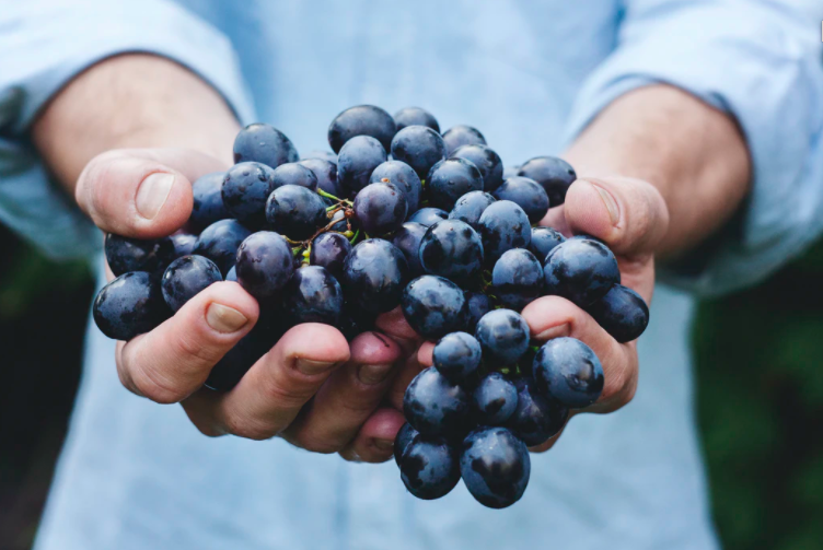 스크린샷 2020-08-18 오후 10.41.56