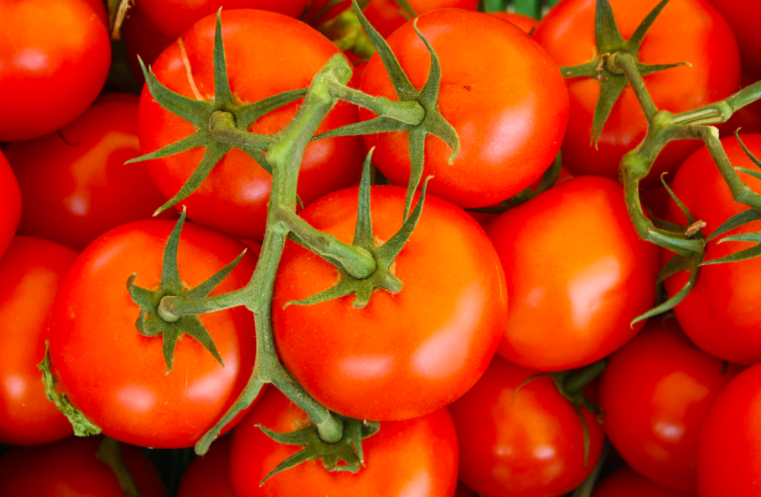 스크린샷 2020-08-26 오전 1.08.37