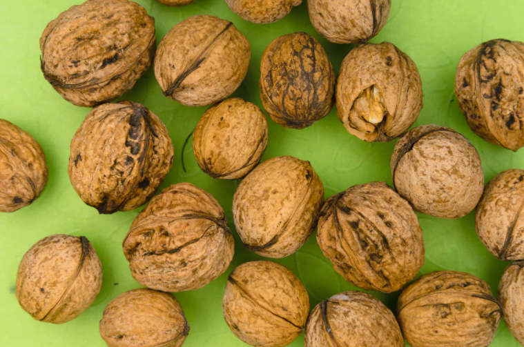 스크린샷 2020-09-06 오전 11.53.19