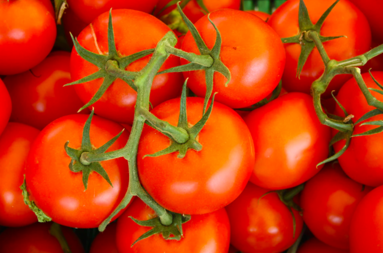 스크린샷 2020-09-12 오후 8.26.07