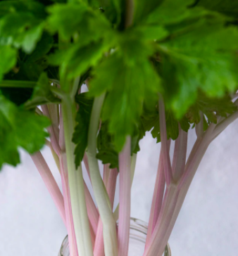 스크린샷 2020-09-12 오후 8.26.42