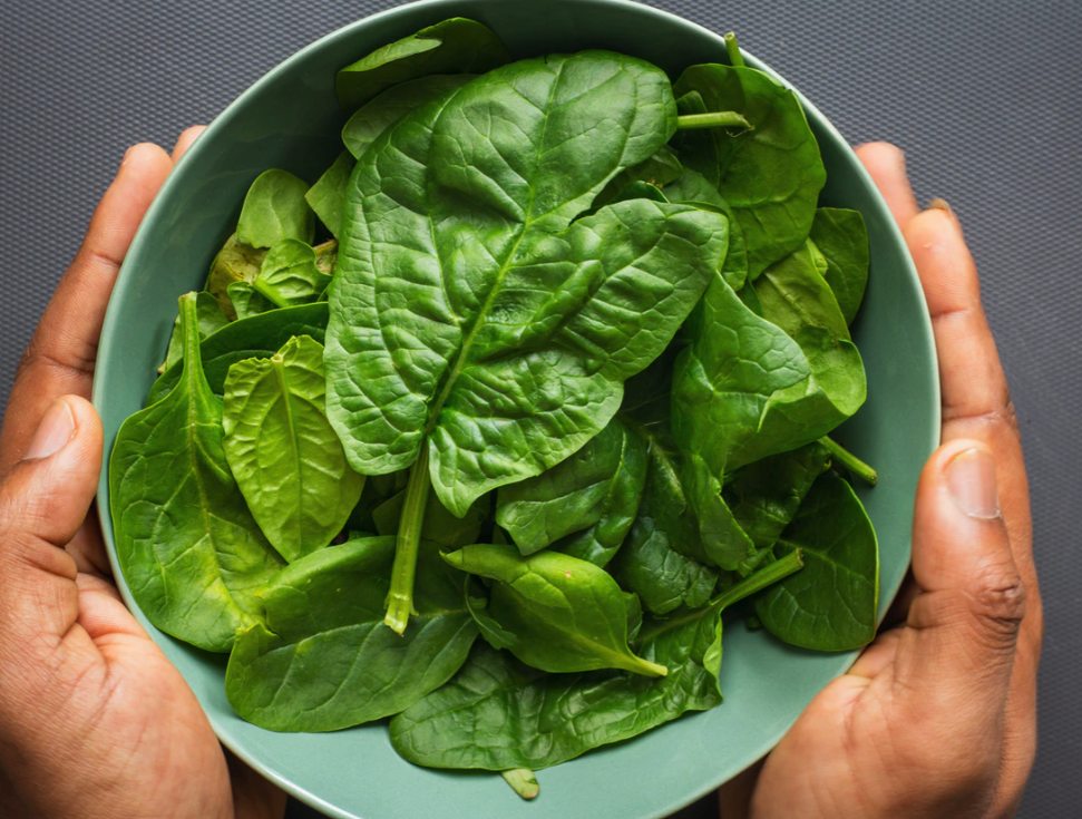 스크린샷 2020-10-01 오후 9.06.15