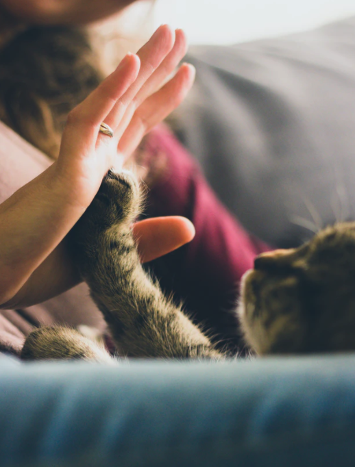 스크린샷 2020-11-01 오후 12.14.57