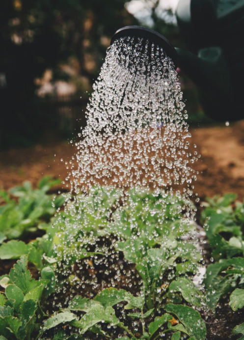 스크린샷 2020-11-01 오후 12.41.05